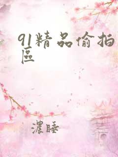 91精品偷拍一区
