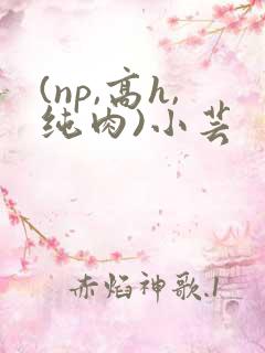 (np,高h,纯肉)小芸