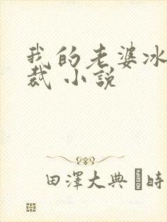 我的老婆冰山总裁 小说