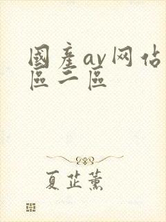 国产av网站一区二区