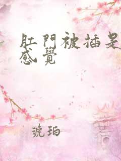 肛门被插是什么感觉