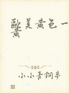 欧美黄色一级特黄