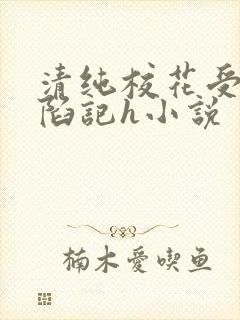 清纯校花受辱沦陷记h小说