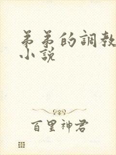 弟弟的调教日常小说