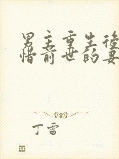 男主重生后悔珍惜前世的妻子