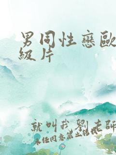 男同性恋欧美一级片