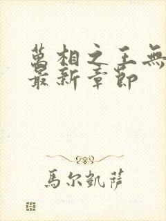 万相之王无弹窗最新章节