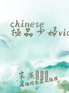 chinese极品少妇videos