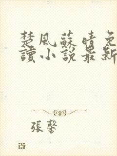 楚风苏晴免费阅读小说最新章节