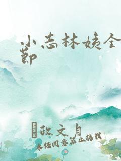 小志林姨全部章节