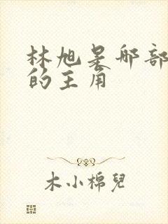 林旭是哪部小说的主角