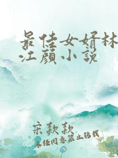 最佳女婿林羽/江颜小说