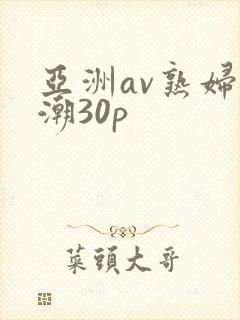 亚洲av熟妇高潮30p