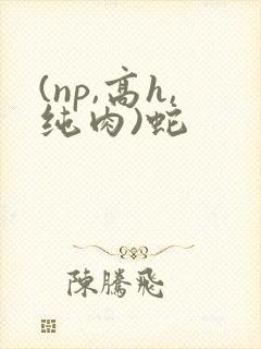 (np,高h,纯肉)蛇