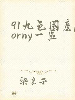 91九色国产porny一区