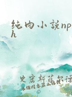 纯肉小说np高h