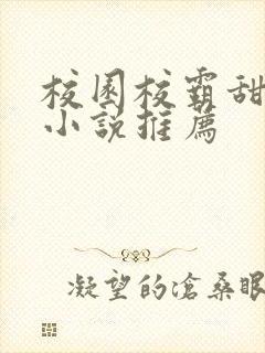 校园校霸甜宠文小说推荐