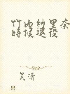 竹内纱里奈什么时候退役