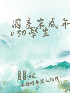 国产末成年女av初学生