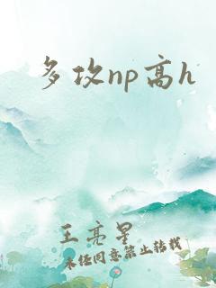 多攻np高h
