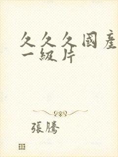 久久久国产精品一级片