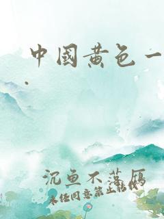 中国黄色一级片.