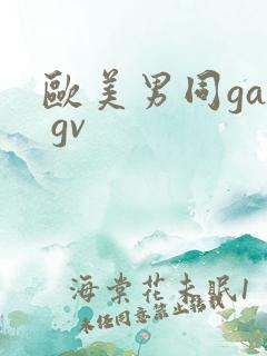 欧美男同gay gv