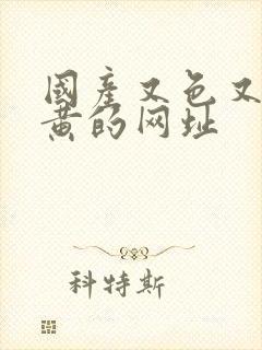 国产又色又爽又黄的网址