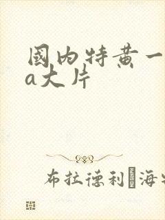 国内特黄一级aa大片