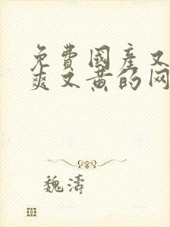 免费国产又色又爽又黄的网站