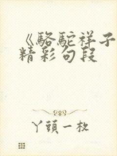 《骆驼祥子》的精彩句段