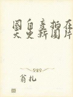 国自产拍在线天天更新图片