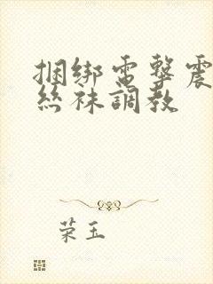 捆绑电击震动白丝袜调教