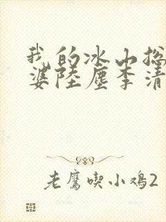 我的冰山总裁老婆陆尘李清瑶免费阅读