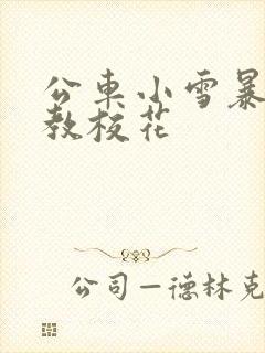 公车小雪暴露调教校花