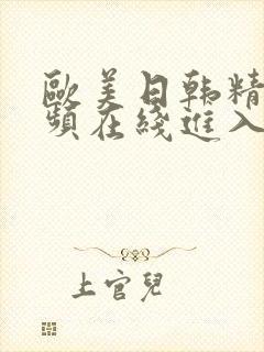 欧美日韩精品视频在线进入