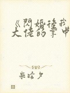 《闪婚后我成了大佬的掌中之物