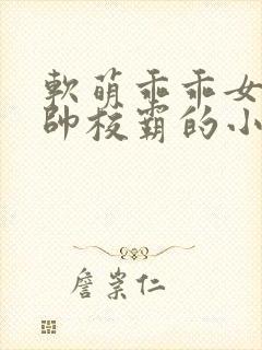 软萌乖乖女和痞帅校霸的小说