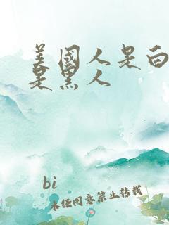 美国人是白人还是黑人