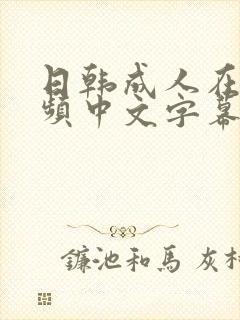 日韩成人在线视频中文字幕
