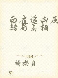 白夜追凶原著大结局真相