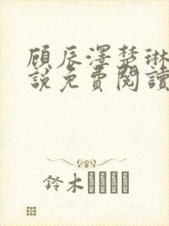 顾辰泽楚琳薇小说免费阅读最新章节