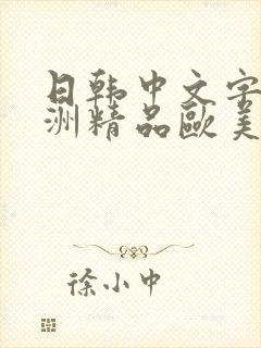 日韩中文字幕亚洲精品欧美