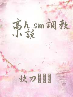 高h sm调教小说