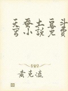 天蚕土豆斗破苍穹小说免费阅读