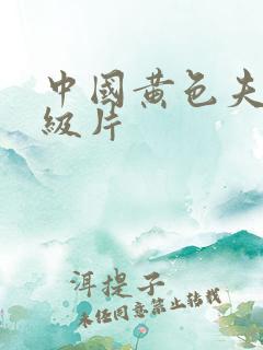 中国黄色夫妻一级片