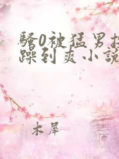 骚0被猛男按着躁到爽小说
