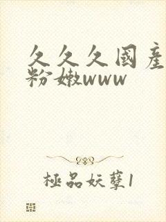 久久久国产精品粉嫩www