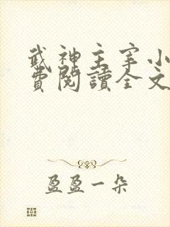 武神主宰小说免费阅读全文免