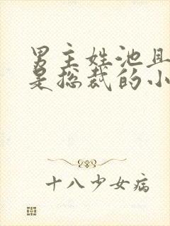 男主姓池且男主是总裁的小说